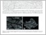 [thumbnail of biologica_051_numb_001_suppl_035.pdf]