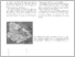 [thumbnail of mineralogica_as_005_066.pdf]