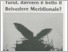 [thumbnail of belvedere_1992_001_002.pdf]
