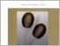 [thumbnail of biologica_059_numb_002.pdf]