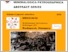 [thumbnail of mineralogica_as_006.pdf]