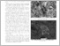 [thumbnail of mineralogica_as_008_022.pdf]