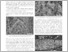 [thumbnail of mineralogica_as_008_076.pdf]